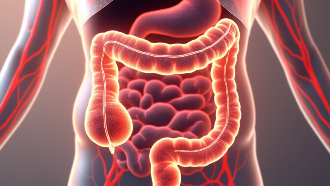 découvrez les rôles essentiels du côlon et ses particularités biologiques pour mieux comprendre son fonctionnement et son importance dans notre santé.